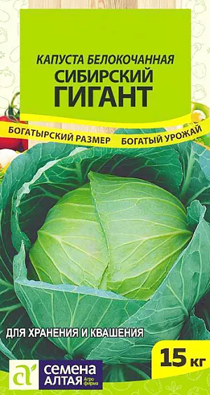 Семена Капуста белокочанная Сибирский гигант Семена Капуста белокочанная Сибирский гигант