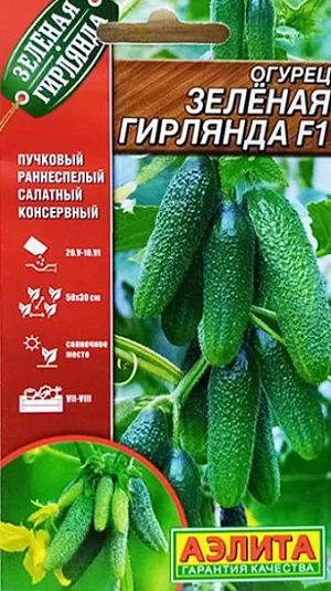 Семена Огурец Зеленая гирлянда F1 Семена Огурец Зеленая гирлянда F1