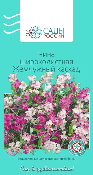 Чина широколистная Жемчужный каскад

Травянистая лиана с лазающим стеблем, способным подниматься на высоту до 2,5 м. Пересадка в грунт вместе с земляным комом. Необходимо поддержание влажной почвы. Зимостойка, зимует без укрытия. Рассаду высаживают в грунт, когда минует угроза возвратных заморозков.