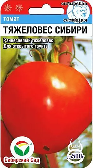 Семена Томат Тяжеловес Сибири