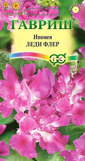 Семена Ипомея Леди Флер.
Однолетнее вьющееся растение с обилием крупных сердцевидных листьев, высотой 200-300 см. 
Цветки изумительно красивые, полностью махровые, ярко-розового цвета с белым центром, диаметром до 8 см. 
Цветение обильное - с конца июня до заморозков. Цветки раскрываются утром и украшают растение до вечера (это значительно дольше по сравнению с другими сортами ипомеи). 
Ипомея светолюбива и теплолюбива, заморозков не переносит. Высевают в открытый грунт во второй половине мая по 2-3 семени в лунку. 
Семена перед посевом желательно замачивать на сутки. Всходы появляются через 6-14 дней, расстояние между растениями должно составлять 25-35 см. 
Используется для озеленения балконов и ваз, создания вертикальных цветущих ширм.
