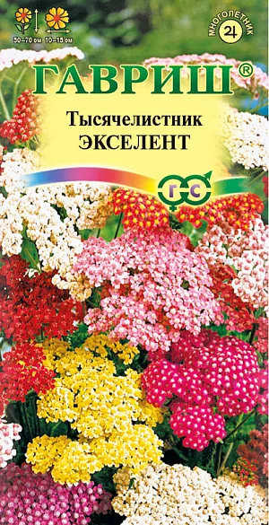 Тысячелистник Экселент