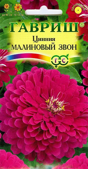 Семена Цинния Малиновый Звон из каталога Цинния Семена Цинния Малиновый Звон.
Неприхотливое однолетнее растение семейства Сложноцветные высотой 70-90 см. Цветение обильное с июня до заморозков.
Соцветия глубокого малиново-розового тона, георгиновидные, диаметром до 14 см венчают прямые прочные стебли.
Светолюбива, засухоустойчива и теплолюбива. Отзывчива на полив, без длительного полива снижается интенсивность цветения и уменьшается размер соцветий. Выращивают рассадным способом. Семена высевают в апреле. Всходы появляются через 4-6 дней. В начале июня растения высаживают на расстоянии 25-30 см.
Используют в цветниках, для получения высококачественной срезки.