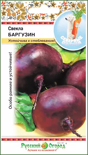Семена Свекла Баргузин Семена Свекла Баргузин