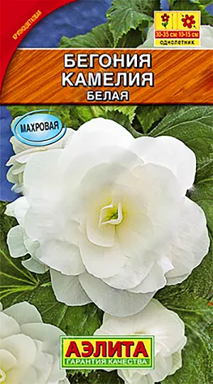 Семена Бегония Камелия белая.
Компактные растения с многочисленными побегами, с густомахровыми крупными цветками. Цветки напоминают розы, украшают сады с июня до первых морозов. Большое достоинство бегоний серии Камелия - способность придавать праздничное убранство затенённым уголкам сада. При регулярном поливе возможны посадки на открытых солнечных участках. Растения образуют клубни, которые можно сохранить до следующего сезона. Пригодны для цветников любого типа: клумб, садовых и балконных контейнеров, настенных и подвесных кашпо. Неприхотливы в уходе, легко переносят пересадку.
Агротехника. Посев на рассаду с февраля до апреля. Семена в гранулах! Посев поверхностный, без заделки (семена прорастают на свету!), под стекло или пленку для сохранения постоянной влажности до полных всходов. Гранулы при посеве должны раствориться! Февральским посевам требуется дополнительная подсветка. Всходы появляются на 5-6 день. Пикировка в фазе 1-2-х настоящих листьев. Высадка в грунт закаленной рассады в конце мая. Для продолжительного и обильного цветения растениям необходим своевременный полив, регулярная прополка, рыхление и подкормка минеральными удобрениями.