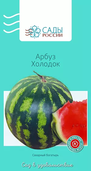 Арбуз Холодок 6шт