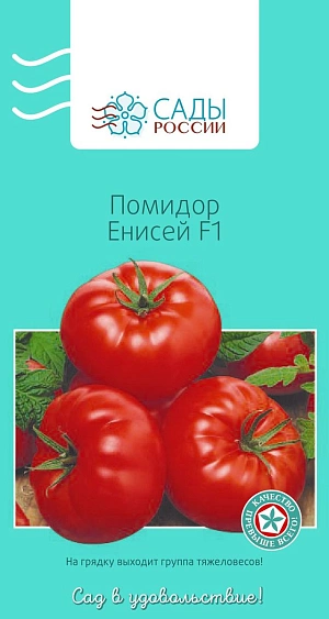 Семена Томат Енисей F1
