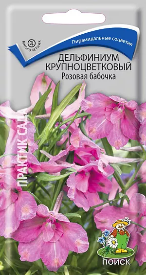 Семена Дельфиниум Розовая бабочка крупноцветковый.
Растение изящной компактной формы высотой около 40 см, с сильно ветвящимися побегами. 
Листья на длинных черешках, пальчато-рассеченные, сверху зеленые, снизу беловатые. Цветки открытые, светло-розовые, до 3,5 см в диаметре, собраны в редкую кисть на конце стебля.
Цветет июль-август. Используют для создания смешанных групп, рабаток, в миксбордерах и на срезку.
Агротехника. Растение морозостойкое и засухоустойчивое. 
Предпочитает хорошо дренированную почву, открытые солнечные места с легким затенением в полуденные часы.
 Посев семян производят в марте в рассадные ящики, присыпав их слегка влажным песком. 
При температуре почвы +10°C всходы появляются через 18-25 дней. После образования первого настоящего листа сеянцы пикируют.
 В начале мая высаживают в открытый грунт. 
Молодые растения доращивают до осени или до весны следующего года на разводочных грядах, затем высаживают на постоянное место, выдерживая расстояние между растениями 30-40 см.