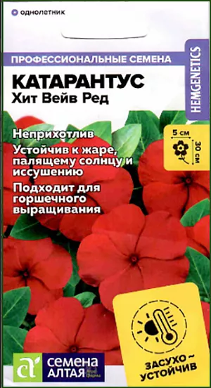 Катарантус Хит Вейв Ред

Неприхотливое засухо- и жароустойчивое растение. Быстро разрастается и хорошо ветвится, формируя компактный густой кустик. Цветение продолжительное и обильное в течение всего сезона. Цветки крупные, карминно-красного цвета. Отлично подойдет для выращивания в балконных ящиках, кашпо и на клумбах. Высота растения: 20-30 см, ширина растения: 20-30 см, диаметр цветка: 3-5 см.
