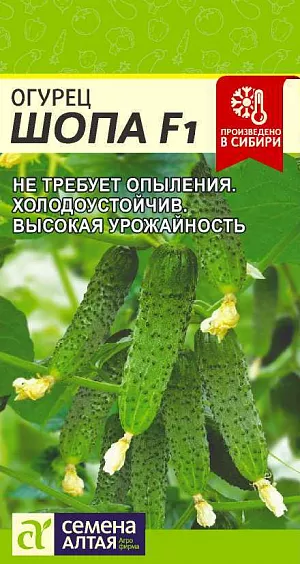 Семена Огурец Шопа F1 Семена Огурец Шопа F1