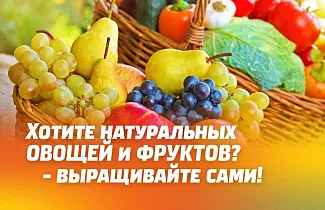 Хотите полезных Овощей и Фруктов? - выращивайте сами!
