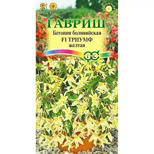 Бегония Триумф желтая боливийская F1
