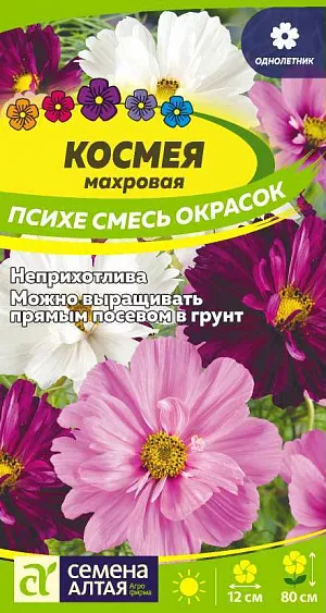 Космея Психе Махровая смесь из каталога Разные Семена Космея Психе Махровая смесь<br>
<br>
Неприхотливый садовый однолетник с ажурными тонко-рассеченными листьями. Кустики прямостоячие сильноразветвленные высотой до 80 см. Соцветия - изящные махровые и полумахровые корзинки различной окраски: белой, розовой, карминной. Диаметр соцветий 10-12 см, лепестки внутреннего круга укорочены и образуют симпатичный «воротничок» вокруг центра корзинки. Растение великолепно выглядит на клумбах и в бордюрах, особенно большими массивами. Отлично дополняет другие садовые растения в смешанных цветниках. Является прекрасным материалом для срезки. Светолюбивое, холодостойкое, засухоустойчивое растение. К почвам нетребовательно, но лучше растет на рыхлых питательных воздухо- и влагопроницаемых легких почвах. Посевы в открытый грунт проводят в мае или сеют на рассаду в апреле.<br>