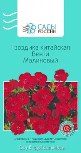 Гвоздика китайская Венти Малиновый Гвоздика китайская Венти Малиновый