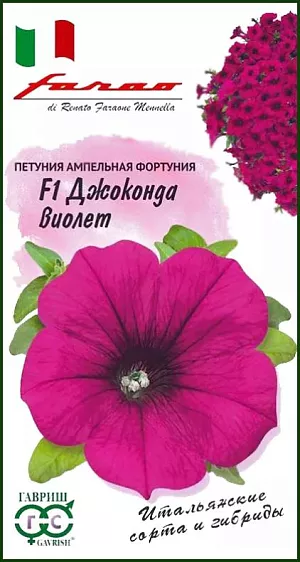 Семена Петуния Джоконда Виолет ампельная F1.<br>
Уникальные гибриды итальянской серии «Джоконда» формируют поразительно мощный каскад из зелени и огромного количества цветов. Они превосходят все известные каскадные формы по многим параметрам, включая «сурфинию». Одно растение обладает такой скоростью и силой роста, что быстро заполнит пространство диаметром 1 м. Цветение настолько обильное, что практически не видно зелени и количество цветков не меняется с начала цветения до заморозков. Эффектнее всего выглядят растения в подвесных корзинах и балконных ящиках, где мощные многочисленные побеги длиной 80-100 см, свисая, образуют грандиозный цветущий водопад.