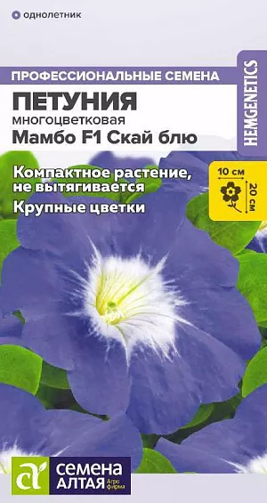 Семена Петуния Мамбо Скай блю F1 из каталога Петуния Семена Петуния Мамбо Скай блю F1.<br>
<br>
Генетически карликовая многоцветковая петуния, не вытягивается, кустик остается компактным и аккуратным в течение всего сезона. Цветки крупные, нежной васильковой окраски с постепенным переходом к светлому центру. Идеально подходит для массовых посадок с высокой плотностью, бордюрных посадок, использования в ландшафтном дизайне и композициях.<br>
<br>
Высота растения: 15-20 см. Ширина растения: 20-25 см. Диаметр цветка: 9-10 см. Время посева на рассаду: февраль-март.<br>
<br>
Способ посева: семена высевают на уплотненное ложе замоченных торфяных таблеток или увлажненного грунта, не заделывая. Драже увлажняют теплой водой до размягчения. Емкость накрывают прозрачной крышкой или пленкой до появления первых всходов, периодически проветривают. Обеспечивают досветку посевов не менее 10-12 часов в сутки и температуру 18-20°С. Время до появления всходов: 3-5 дней<br>
<br>
Перевалка производится через 4-5 недели от всходов. Объем индивидуальных емкостей не менее 0,5 л. При прорастании корней через дренажные отверстия перевалка в больший объем грунта. Диаметр окончательной емкости для взрослого растения не менее 20-25 см. Время высадки в открытый грунт: май-июнь, не менее 6-8 недель от посева. Посадочное расстояние: 20-25 см.<br>
<br>
Период цветения: май-сентябрь, 10-12 неделя от посева, в условиях длинного светового дня цветение наступает на 1-2 недели быстрее<br>
<br>
<br>
Уход: для стимуляции ветвления рекомендуется произвести прищипывание основного стебля над 8-9 настоящим листом. Первую подкормку проводят через 10-14 дней от появления всходов комплексным минеральным удобрением, далее – 1 раз в 7 дней. В начале бутонизации из подкормок убирают азот.<br>
<br>
<b> Внимание! </b>Семена дражированные, оболочку не разрушать, она растворяется при поливе!