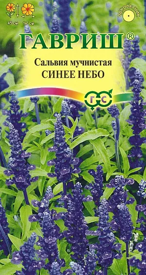 Семена Сальвия мучнистая Синее небо<br>
 <br>
 Однолетнее растение семейства Яснотковые, высотой 60 см. Стебли прямостоячие, короткоопушенные, с немногочисленными ветвями. Листья яйцевидно –овальные, клиновидные у основания, голые, опушенные по жилкам. Соцветия длиной 15-20 см, высоко приподняты над растением. Цветки синие, размером 1,7 см собраны в мутовки по 8-20 штук. Цветет с середины августа до поздней осени. Хорошо растет на солнечных местах, но может расти и в полутени. Используется для бордюров, рабаток, балконов, контейнеров, посадок массивами, как горшечная культура. Рекомендуется для создания сада в пейзажном стиле.<br>