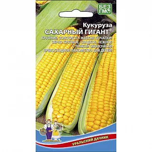 Семена Кукуруза Сахарный гигант