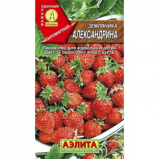 Семена Земляника (клубника) Александрина