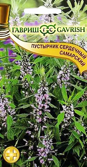 Пустырник сердечный Самарский