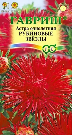Семена Астра Рубиновые звезды<br>
 <br>
 Растение высотой 55-60 см. Куст компактный, узкообратнопирамидальный. Соцветия игольчатые, очень изящные, диаметром 10-11 см, рубиновой окраски. Для выращивания подходят хорошо освещенные участки с плодородной суглинистой или супесчаной почвой. Астры обладают высокой холодостойкостью – хорошо переносят заморозки до -3-4°C. Выращивают, чаще всего, рассадным способом. Используются для получения срезки и оформления участка.<br>