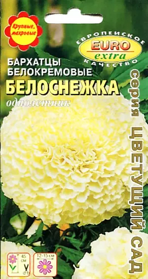 Семена Бархатцы Белоснежка прямостоячие (тагетес). Бархатцы, благодаря своей крайней неприхотливости и высокой декоративности, являются наиболее популярными растениями в озеленении. Мы представляем Вашему вниманию сорт белокремовых бархатцев - очень редкое пока явление в цветоводстве. Соцветия - одиночные густомахровые корзиночки, густого белого с примесью кремового и желтого  цветов. Применяется повсеместно в саду - для групп и рабаток, а также на срезку.<br>
 Агротехника. Бархатцы не требовательны к почве и влаге, предпочитают открытые солнечные места, но растут и в полутени. Семена высаживают в защищенный грунт. Температура прорастания - 18°С, время прорастания - 7-15 дней. Всходы появляются через 4-6 дней после посева. Затем сеянцы пикируют на расстоянии 5-6 см. Рассаду высаживают в открытый грунт на расстоянии 30-40 см. До начала цветения растения нуждаются в поливе и в подкормках. Рекомендуем комплексное минеральное удобрение «АЭЛИТА-ЦВЕТОЧНОЕ». Чтобы продлить цветение, необходимо удалять увядшие цветки.<br>