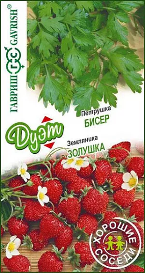 Семена Петрушка Бисер + Земляника Золушка серия Дуэт