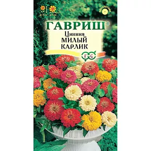 Семена Цинния Милый карлик смесь Семена Цинния Милый карлик смесь
