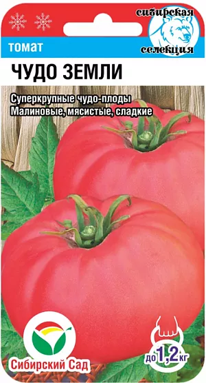 Семена Томат Чудо земли