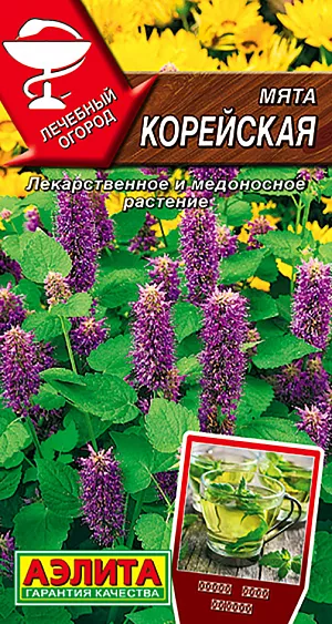 Семена Мята Корейская Семена Мята Корейская