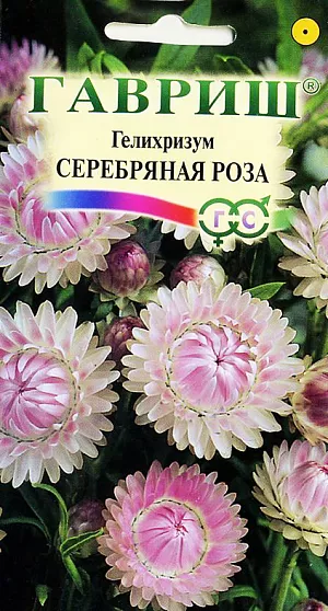 Гелихризум Серебряная Роза из каталога Гелихризум <div>
Семена Гелихризум Серебряная Роза.
</div>
Для ярких зимних букетов и композиций. Травянистое однолетнее растение из семейства Астровые. кусты слегка раскидистые достигают 70 см высоты. Цветки собраны в соцветия-корзинки имеющие очень яркие и многочисленные листочки-обертки серебристо-розовой окраски. Цветет обильно с июля до заморозков. Предпочитает открытые, солнечные места. Размножают семенами, которые высевают в конце марта-начале апреля на рассаду. Всходы появляются через неделю после посева. На постоянное место рассаду высаживают после весенних заморозков, выдерживая расстояник между растениями 30 см. Используют в озеленении (клумбы, рабатки), а также на срезку в качестве лучшего сухоцвета.