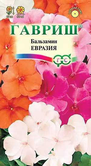 Семена Бальзамин Евразия.
Однолетнее растение. Куст шаровидной формы высотой 30 см и диаметром 10-15 см. Листья темно-зеленые. Растение усыпано крупными, диаметром 5-6 см, цветами красной, кремовой, нежно-розовой и карминной окраски. Цветет с июня до заморозков. Используют для украшения контейнеров, висячих корзин и клумб, можно выращивать, как комнатное растение. Растение неприхотливое. Хорошо растет в полутени. Предпочитает легкие плодородные почвы. Достаточно влаголюбиво, но не переносит избыточного переувлажнения. Размножают семенами, посев которых производят в марте-апреле в рассадные ящики. 