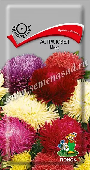Семена Астра Ювел Микс. Гигантские соцветия разнообразных окрасок. Растение высотой до 65-75 см, пирамидальной формы. Соцветия на длинных прочных цветоносах округло-плоские, густомахровые, диаметром 14-16 см. Язычковые цветки сложены по длине в трубочки. Цветет август-сентябрь. Используют очень широко: для посадки в сборные цветники группами, на рабатки - рядами и на срезку.<br>
 <br>
  Агротехника. Растение предпочитает открытое солнечное место, но выносит и полутень. Лучше растет на легких, плодородных почвах. Не переносит внесения органических удобрений в год посадки. Семена высевают с середины февраля по апрель. Глубина заделки семян 0,5 см. При температуре почвы +20 °С всходы появляются на 7-14 день. Через 3-4 недели посевы пикируют и выращивают при температуре +12-15 °С. В грунт рассаду высаживают во второй половине мая, выдерживая расстояние между растениями 20-30 см.<br>