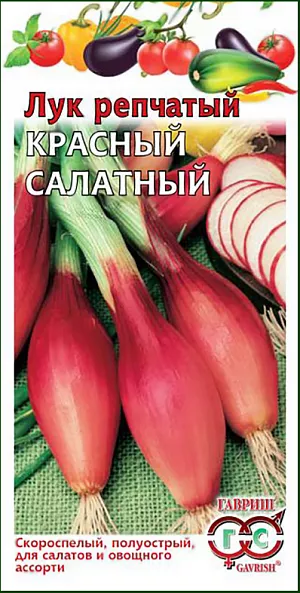 Семена Лук репчатый Красный салатный