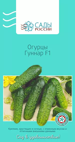 Семена Огурец Гуннар F1