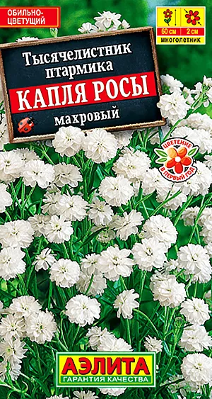 Семена Тысячелистник Капля Росы.
Яркое, роскошное цветение – главное, но далеко не единственное достоинство нового тысячелистника. Среди важных плюсов: сохранение декоративности в течение всего сезона, неприхотливость, способность быстро разрастаться, пригодность для срезки и зимних букетов. Компактные прямые кусты с облиственными стеблями, увенчанные крупными белоснежными корзинками махровых соцветий, станут идеальными компаньонами для темно-красных, синих, или фиолетовых цветов с темной листвой, и с легкостью украсят любой уголок вашего сада. Цветение: июнь-октябрь. Агротехника. Посев: февраль–март – на рассаду, апрель-май в открытый грунт или под зиму на глубину не более 0,5 см. Семенам требуется предварительная стратификация: посеять семена, накрыть стеклом и поместить в холодильник (темп. 5-70С). Посевы выдерживают в таких условиях в течение месяца, затем переносят в комнатные условия. При температуре 16-180С всходы появляются на 10-14 день. В фазе 1-2 настоящих листьев сеянцы пикируют на рассадочные грядки. В фазе 5-6 настоящих листьев растения высаживают на постоянное место на расстояние 20-25 см. Очень важно, чтобы до момента прорастания почва всегда была слегка влажной. 
