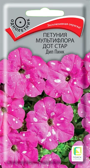 Семена Петуния мультифлора Дот Стар Дип Пинк из каталога Петуния <div>
Семена Петуния мультифлора Дот Стар Дип Пинк.
</div>
<b>Прорыв в области селекции!</b> Растение высотой 30-35 см., хорошо ветвится. Диаметр цветка 6-7 см. Ни одна другая петуния не может похвастаться звездным крапчатым рисунком. Окраска - белые крапинки на розовом фоне. Яркость и форма рисунка зависит от погодных условий - каждый цветок совершенно уникален. Быстро восстанавливается после дождя. Используют для оформления цветников, балконных ящиков и контейнеров.<br>
<b><br>
</b><b>Агротехника. </b>Растение светолюбивое, засухоустойчивое, хорошо растет на любых питательных почвах. Посевы проводят в феврале. Драже выкладывают на поверхность хорошо увлажнённого субстрата без заделки в грунт. Драже обильно опрыскивают из пульверизатора для растворения оболочки. Контейнеры накрывают плёнкой для обеспечения максимальной влажности воздуха и субстрата в первые 7-10 дней после посева. При температуре почвы +18-20°C всходы появляются на 7-14 день. Сеянцы пикируют в фазе 2-х настоящих листьев. Рассаду высаживают в мае, по 3 растения в подвесное кашпо или вазон Ø 21 см. Для получения наилучшего результата требуется прищипка.