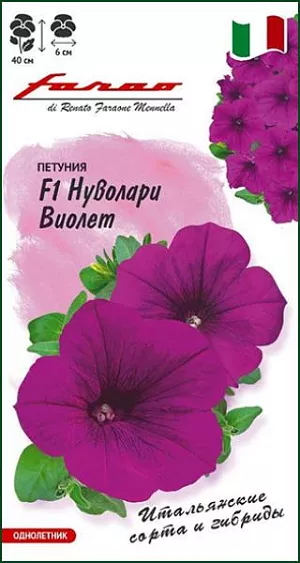 Семена Петуния Нуволари Виолет F1<br>
 <br>
Итальянская серия «Нуволари» включает в себя петунии с абсолютно новой полу-ампельной формой. Исключительность этих гибридов в том, что довольно длинные побеги полностью укрыты от взоров роскошными белыми цветками  направленных строго вверх. Такая особенность  позволяет избегать образования пустот в каскаде, часто свойственных ампельным формам. Благодаря этому растение, высаженное в подвесные корзины или в балконные ящики похоже на огромный плотно-цветущий шар. Гибриды «Нуволари» зацветают очень рано (в среднем на 2 недели раньше, чем остальные петунии), быстро формируют мощные побеги длиной 40 см и цветки диаметром 6 см, устойчивые к непогоде и ветру. Выращивают рассадным способом.  Посев проводят с января по апрель, поверхностно, под стекло (после появления всходов стекло убирают). В зимние месяцы январь-февраль досветка обязательна. При ранних сроках посева цветение начинается в мае. Без дополнительного освещения петунию высевают не раньше марта. Всходы появляются через 7-12 дней. На постоянное место высаживают, когда минует опасность заморозков. Светолюбива и достаточно засухоустойчива. Предпочитает легкие, плодородные, хорошо дренированные почвы.