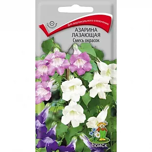 Семена Азарина лазающая Смесь окрасок Семена Азарина лазающая Смесь окрасок