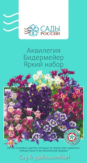 Аквилегия Бидермейер Яркий набор 0,07гр из каталога Аквилегия Аквилегия Бидермейер Яркий набор
Аквилегия гибридная, водосбор, орлик – травянистый многолетник. Цветки элегантные, до 10 см в диаметре, утонченных светлых и нежных лавандово-розовых оттенков. Весной, когда на всходах будет по 3–4 листика, их необходимо пересадить на постоянное место. Чтобы растения лучше цвели, в начале июня их подкармливают раствором мочевины и нитрофоски. Зимует под снежным покровом без укрытия.