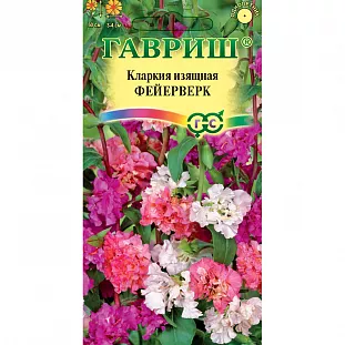 Кларкия изящная Фейерверк Кларкия изящная Фейерверк