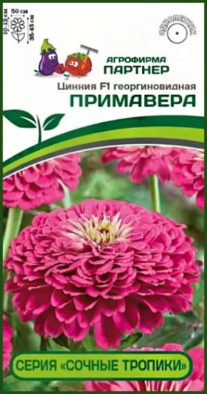 Имя этой мексиканской красотки созвучно с названием легендарного коктейля - «Примавера». Чудесная розовая окраска цветка выглядит «вкусно», «фруктово-сочно», но не ослепительно ярко, приобретая, по мере роспуска, более пастельный оттенок. Очень крупные, до 12 см в диаметре, цветки редко появляются по одному, чаще всего - это целый букет! Одновременно на растении может быть раскрыто более десятка цветков, которые долго держат форму и не выгорают на солнце. Генетически компактные кусты, до 50 см в диаметре, все как на подбор — выравненные, с хорошим ветвлением и устойчивыми цветоносами. <br>
 <br>
 Серия «Сочные тропики» отличается ранним, продолжительным цветением, неприхотливостью в уходе, а крепкое здоровье растений позволяет противостоять неблагоприятным погодным условиям и быть высокоустойчивыми к комплексу заболеваний. Это поистине удивительная серия для любого садового интерьера: ландшафтного, балконного или контейнерного декора в любимом патио-дворике. Чтобы цинния полностью раскрыла свой потенциал, рекомендуем объем кашпо 8-10 л на одно растение и схему посадки в грунте – 35х35 см.<br>
 <br>
 <iframe width="853" height="480" src="https://www.youtube.com/embed/htdTJSYH9Aw?feature=oembed" frameborder="0" allow="accelerometer; autoplay; clipboard-write; encrypted-media; gyroscope; picture-in-picture; web-share" allowfullscreen="" title="Циннии">
</iframe> <br>