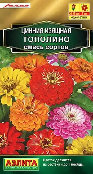 Семена Цинния Тополино смесь сортов. . Компактные размеры куста очень удачно сочетаются с обильнейшим цветением. Аккуратный, низкорослый кустик высотой 20-25 см. буквально усыпан крупными (диаметром 7 см.), густомахровыми соцветиями. Цветки по форме напоминают георгинчики, каждый цветок держится на кусте до месяца. Смесь идеально подходит для горшечного выращивания. В цветниках будет незаменима в низком бордюре, на передних планах миксбордеров, в ковровых по садках на больших участках. Рекомендуется для профессионального озеленения.<br>
 <br>
 Циннии – растения теплолюбивые, быстрорастущие, относительно засухоустойчивые. Предпочитают солнечные участки с дренированными почвами среднего плодородия, нейтральной кислотности. В южных регионах возможен безрассадный способ выращивания.<br>
