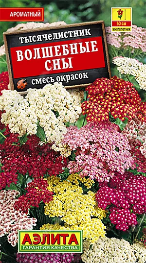 Семена Тысячелистник Волшебные сны смесь