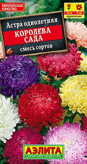<div>
 Семена Астра Королева сада смесь сортов.
</div>
 Эффектная, обильноцветущая астра с крупными соцветиями  9-11 см. Кусты колонновидной формы, высотой 60-70 см, шириной до 30 см, с длинными, прочными цветоносами. Соцветия расположены по периферии куста. Цветение продолжительностью 40-45 дней. Среднее количество соцветий на кусте 12-15 шт. Растения устойчивы к фузариозу, неблагоприятным погодным условиям и вредителям. Использование универсальное – оформление цветников и срезка в букеты.<br>
 Астры нельзя постоянно выращивать на одном месте, их возвращают на прежнее место не ранее, чем через 4-5 лет. Недопустимо внесение навоза. Астра – культура холодостойкая, хорошо переносит заморозки до -3...-4°С. Возможен посев семян в открытый грунт ранней весной или под зиму.<br>