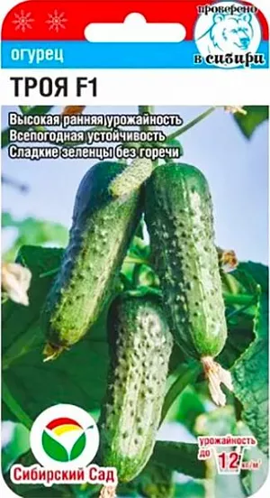 Семена Огурец Троя F1