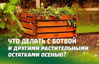 ЧТО ДЕЛАТЬ С БОТВОЙ И ДРУГИМИ РАСТИТЕЛЬНЫМИ ОСТАТКАМИ ОСЕНЬЮ. КАК ПРАВИЛЬНО ЗАЛОЖИТЬ ИХ В КОМПОСТНУЮ ЯМУ (КУЧУ)