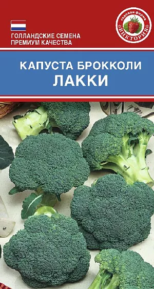 Семена Капуста брокколи Лакки F1