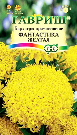 Бархатцы Фантастика желтая прямостоячие из каталога Бархатцы Семена Бархатцы Фантастика желтая прямостоячие.
Уникальный сорт с исключительными по своей красоте и оригинальности соцветиями желтого оттенка.
Прямостоячий куст высотой 70-80 см, устойчив к непогоде и не полегает. Первые соцветия появляются на растениях уже в июне и цветение продолжается до
Смесь особенно рекомендуется для создания высоких рабаток, бордюров и срезки.
Бархатцы светолюбивы и теплолюбивы, заморозков не переносят, к почвам нетребовательны, но предпочитают плодородные легкие почвы.
Посев на рассаду проводят во второй половине марта-начале апреля. Всходы появляются через 4-8 дней после посева, сеянцы пикируют в фазе 2-го настоящего листа.
Рассаду высаживают в начале июня с расстоянием между растениями 30-35 см. Посев в открытый грунт проводят в мае на глубину 1,5-2 см.