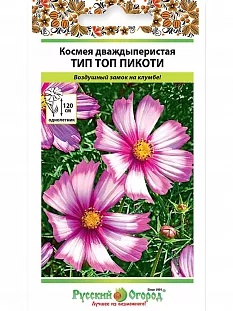 Космея Тип Топ Пикоти (дваждыперистая)